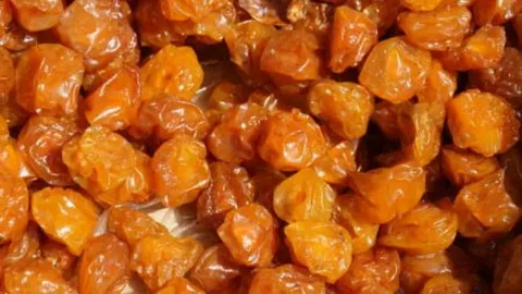 تصویر 4 از آلو بخارا ترش + خشک‌ شده به روش سنتی
